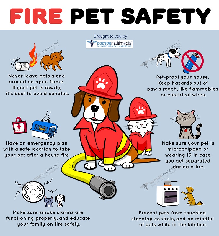Fire Safety and Your Pets