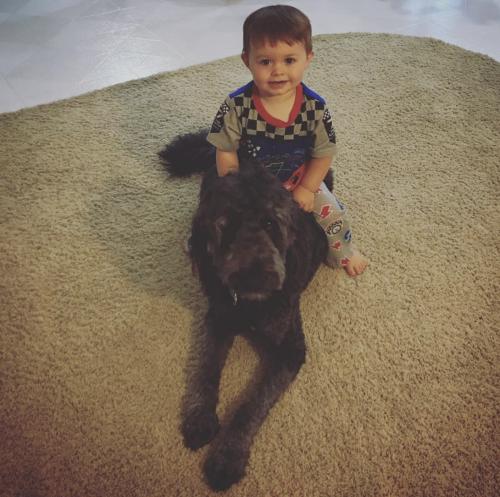 310A9894-5C15-4E83-90C7-646C43AC5938