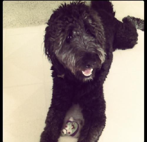 6EBCBA79-45C7-42CB-A9F7-56F4B671937A