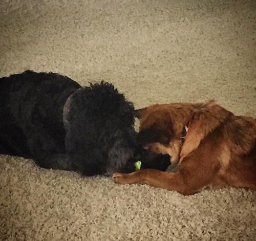 79E74377-012A-4E1C-9FB7-AA04954D48AF