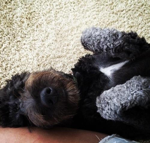 B3377503-9674-45AE-8CE1-5CBE2262789F