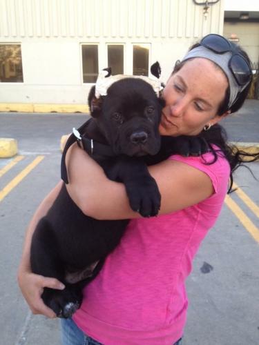 Baby Mish arrives at the airport