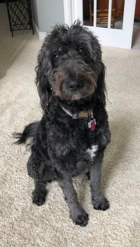 FDE62160-6875-4552-977C-5524E45D6A6E