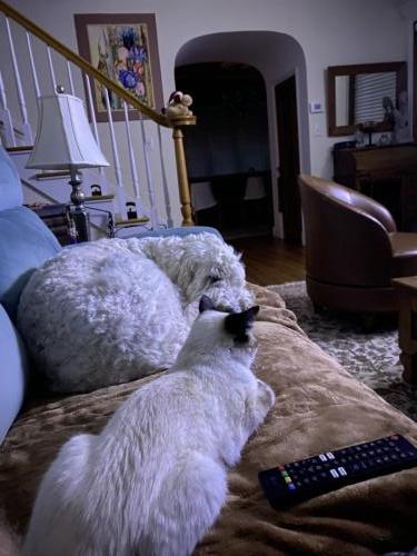 Oga and Viv relaxing after another full day of play.