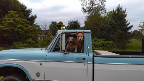 Cruising