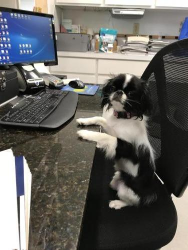 Dr. Presley is ready for some action!