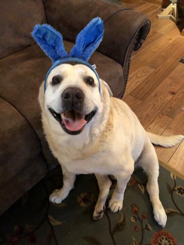 Colby Jack says thank you for making him feel better!