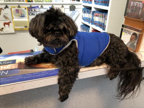 Hanging out at Dr Dan’s