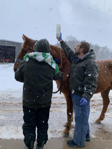 Snow Squall Treatment