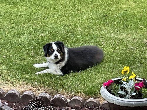 Tucker1
